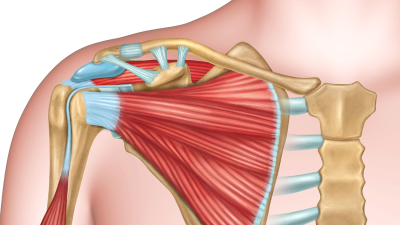 Đau bả vai: Nguyên nhân, điều trị và phương pháp phòng ngừa 1