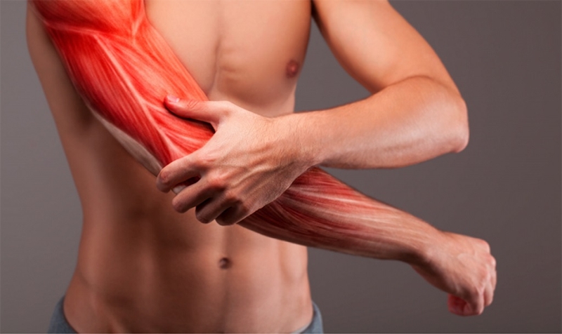 Đau cơ tay uống thuốc gì nhanh khỏi và cách phòng tránh đau cơ tay 2