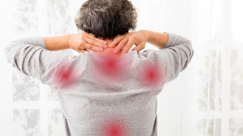 Đau cơ xơ hóa: Nguyên nhân và dấu hiệu nhận biết 1