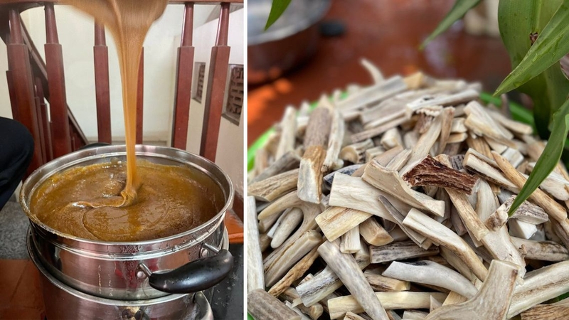Đau dạ dày có ăn được cao xương ngựa không còn phụ thuộc tình trạng và khả năng dung nạp