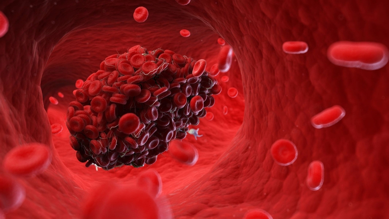Giảo cổ lam hỗ trợ giảm mỡ máu, cải thiện cholesterol, ổn định huyết áp và bảo vệ sức khỏe tim mạch