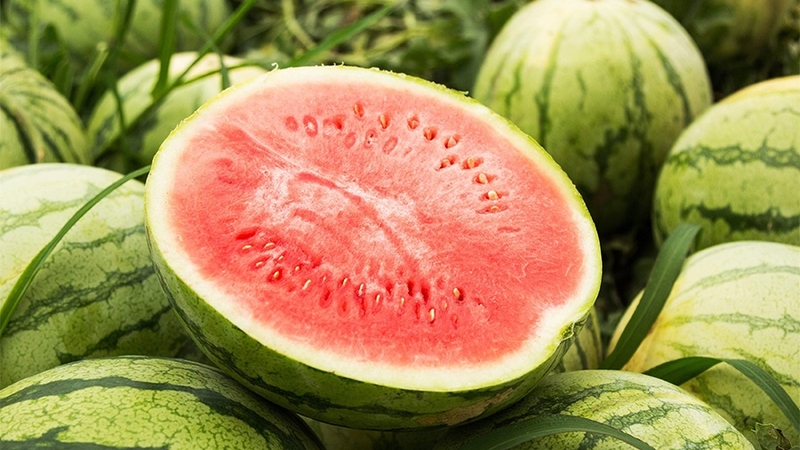 Đau dạ dày, liệu có ăn dưa hấu được không? 3