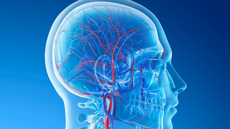 Nhức đầu là gì? Nguyên nhân, triệu chứng và cách điều trị 2