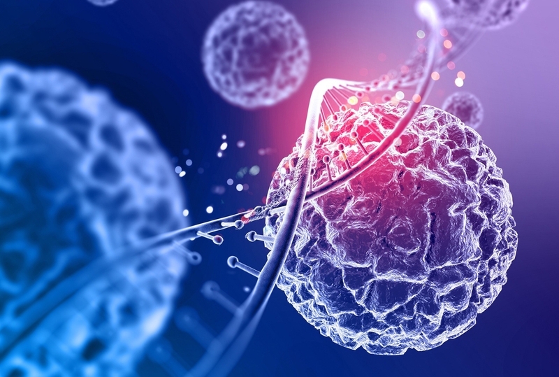 Đậu gà bao nhiêu calo? Ăn nhiều có mập không? - 3