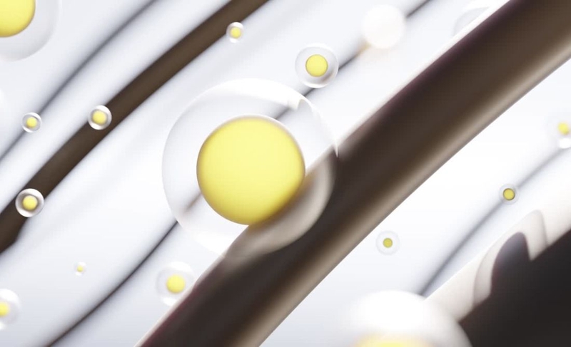 Dầu gội oliu có tác dụng gì? Cách dùng dầu gội oliu hiệu quả 2