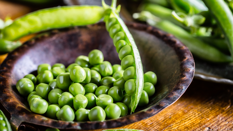 Kiểm tra kỹ đậu Hà Lan trước khi chế biến để đảm bảo an toàn