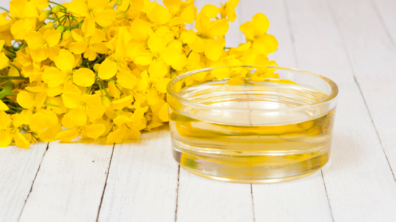 Dầu hạt cải gần như không mùi và không vị