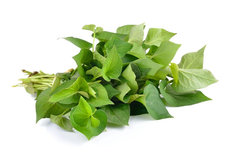 Đau hậu môn sau khi đi vệ sinh nguyên nhân do đâu? 3