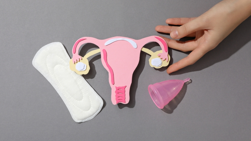 Dấu hiệu AMH thấp: Nhận biết sớm để bảo vệ khả năng sinh sản của bạn 1