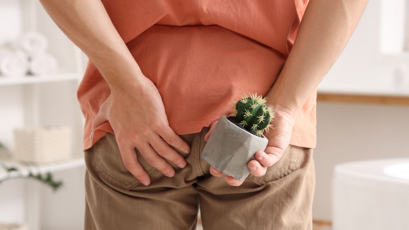 Trĩ nội phát triển lớn có thể sa qua ống hậu môn, đặc biệt khi rặn đại tiện