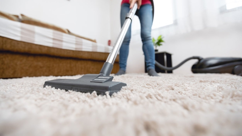 Dấu hiệu bọ chét cắn là gì? Cần làm gì khi bị bọ chét cắn 3