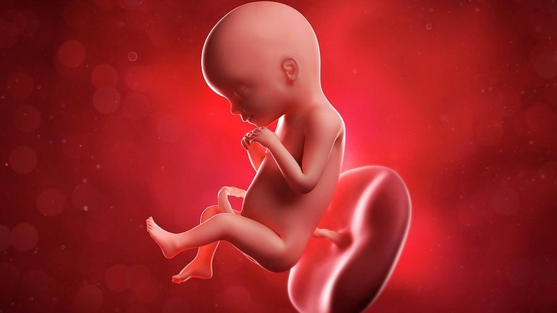 Dấu hiệu cạn ối tuần 39: Nhận biết và cách xử lý an toàn cho mẹ bầu 2