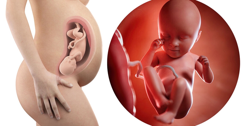 Dấu hiệu chuyển dạ tuần 35 của thai kỳ và những nguy cơ tiềm ẩn 1