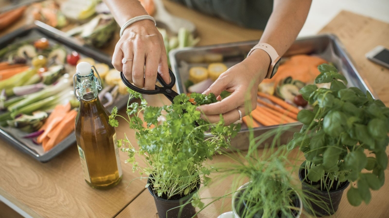 Dấu hiệu đột quỵ ở người trẻ và cách phòng ngừa 4