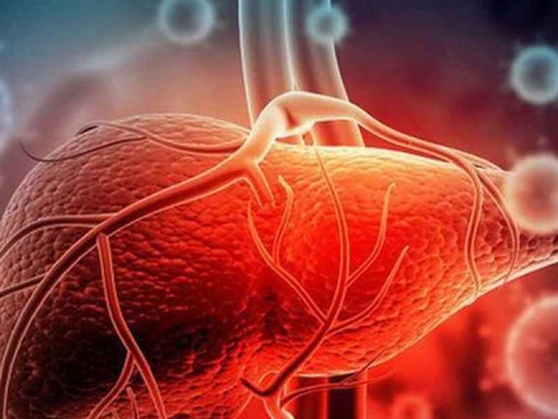 Dấu hiệu gan cần được thải độc, 4 cách thải độc gan hiệu quả tại nhà 1