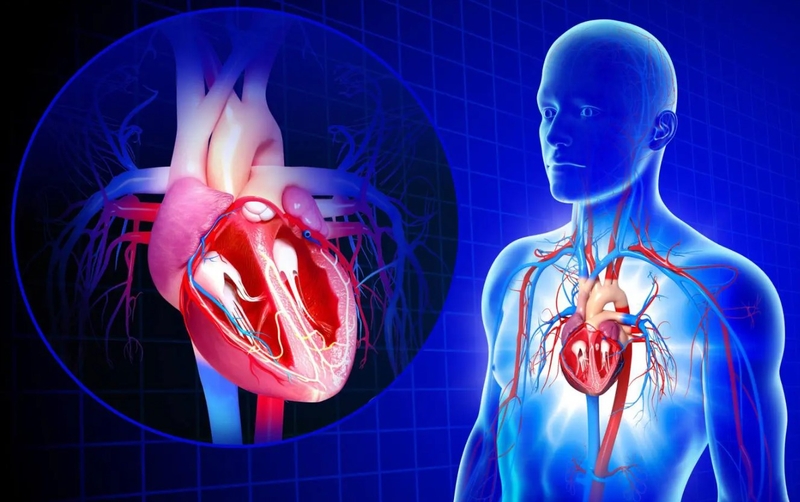 Dấu hiệu lão hóa trên cơ thể và cách làm chậm quá trình lão hóa 2