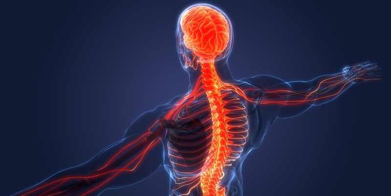 Dấu hiệu nhận biết nhiễm trùng thần kinh. Nhiễm trùng thần kinh có nguy hiểm không? 1