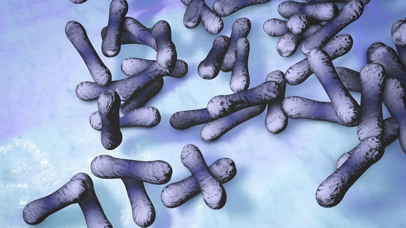 Dấu hiệu nhận biết sớm bệnh bạch hầu và cách phòng ngừa 2