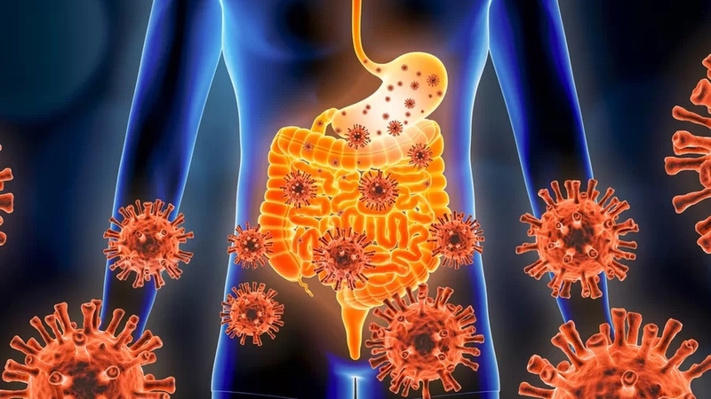 Dấu hiệu nhiễm trùng đường ruột mà bạn không nên bỏ qua 1