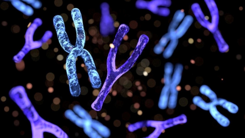 dau-hieu-say-thai-3-thang-dau-phu-nu-mang-thai-nen-biet 2