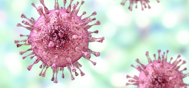 Dấu hiệu sốt phát ban ở trẻ em mà phụ huynh cần biết 2