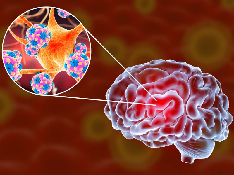 Dấu hiệu tay chân miệng là gì? Biện pháp phòng ngừa bệnh tay chân miệng 2