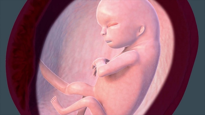 Dấu hiệu thai 11 tuần khỏe mạnh là gì? Mách mẹ cách giúp thai kỳ ổn định 1