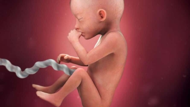 Dấu hiệu thai nhi đói mẹ bầu cần lưu ý 2