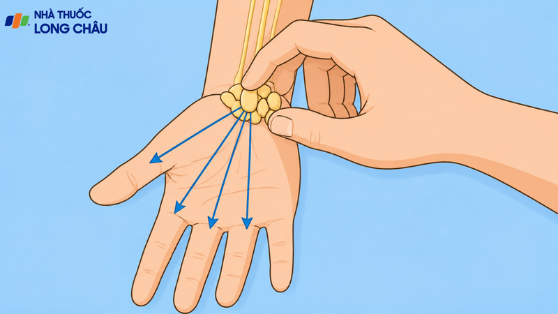 Dấu hiệu Tinel hỗ trợ đánh giá tình trạng kích thích hoặc tổn thương dây thần kinh