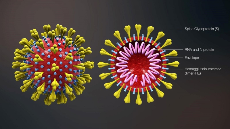 Coronavirus