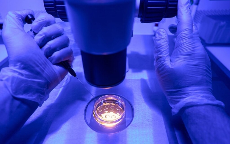 Dấu hiệu vô sinh ở phụ nữ và các phương pháp điều trị vô sinh 4