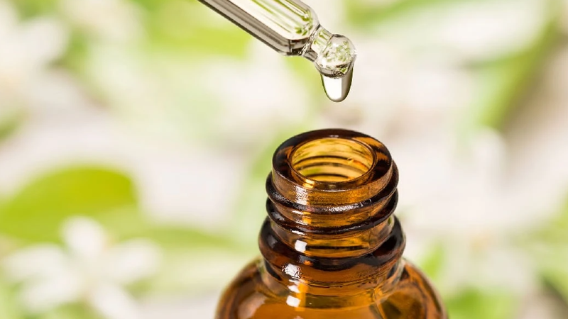 Dầu húng chanh là gì? Công dụng của dầu húng chanh đối với sức khỏe 1