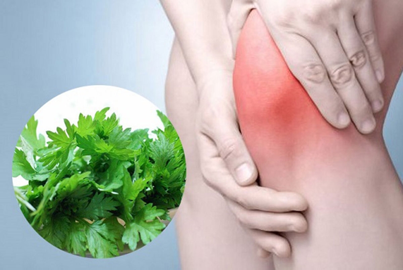 Đau khớp gối đắp gì? Những bài thuốc dân gian hiệu quả cho người đau khớp gối 2