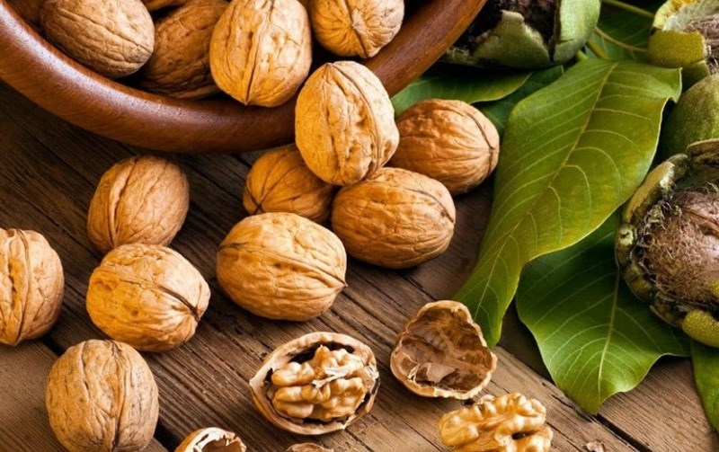 Quả óc chó có khả năng cung cấp omega 3 dồi dào hỗ trợ làm giảm triệu chứng xương khớp đau hiệu quả