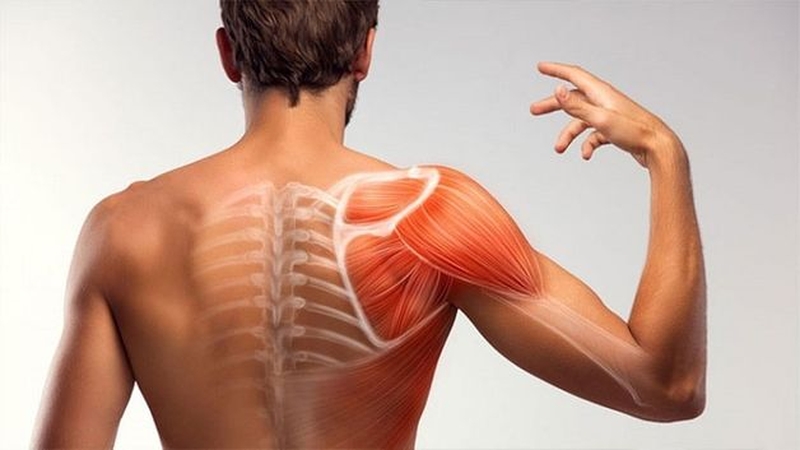 Đau khớp tay bả vai là dấu hiệu của bệnh gì? Cách phòng ngừa và điều trị như thế nào? 1