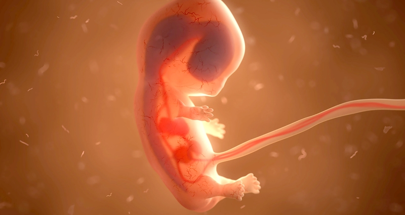 Đâu là dấu hiệu thai 9 tuần khỏe mạnh​? - 3