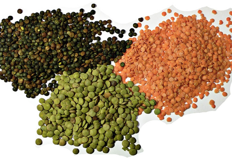 Đậu lăng là gì? Tác dụng của đậu lăng đối với cơ thể 1