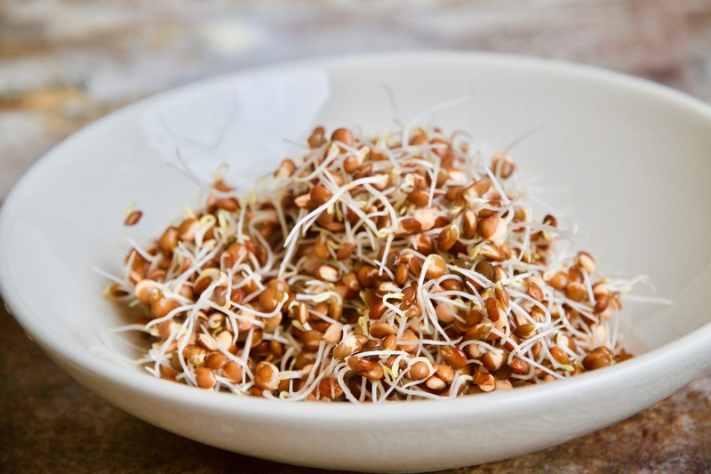 Đậu lăng nảy mầm có ăn được không? 4