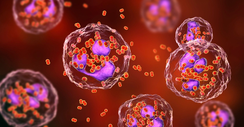 Đau lưng gần xương chậu bị bệnh gì? Có nguy hiểm không? 2