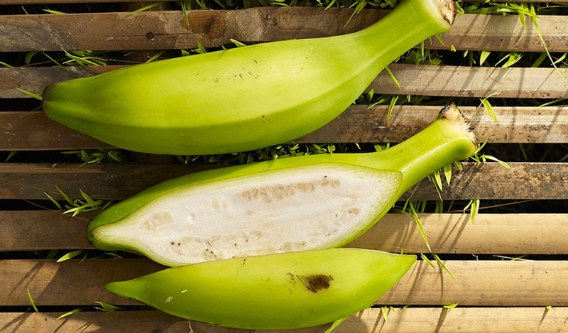 Đau lưng tiểu ra máu là dấu hiệu của bệnh gì? Có nguy hiểm không? 3