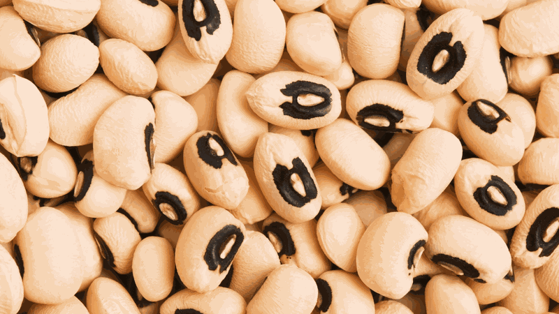 Đậu mắt đen có tác dụng gì? 1