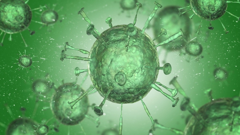 Đau mắt đỏ do vi khuẩn: Nguyên nhân, triệu chứng và cách điều trị 2