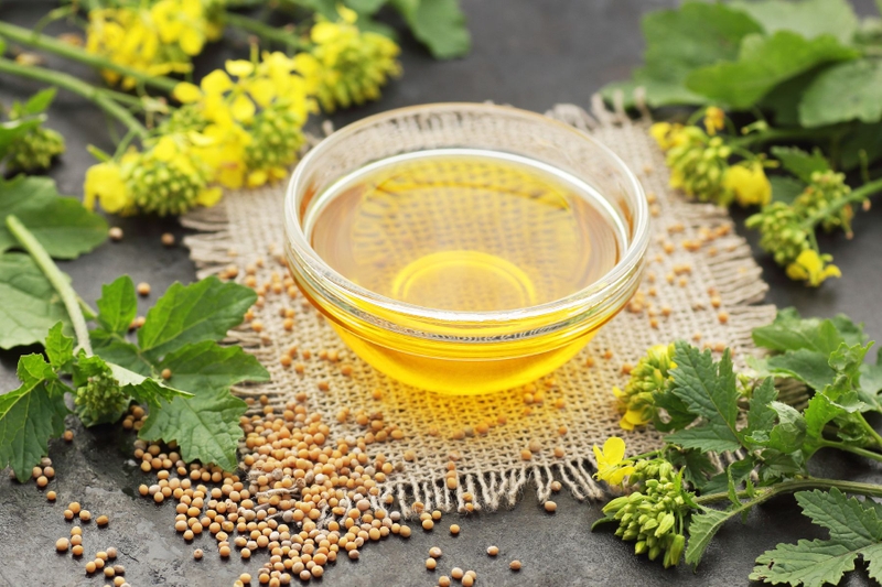 Dùng dầu mù tạt sai cách có hại cho tim mạch