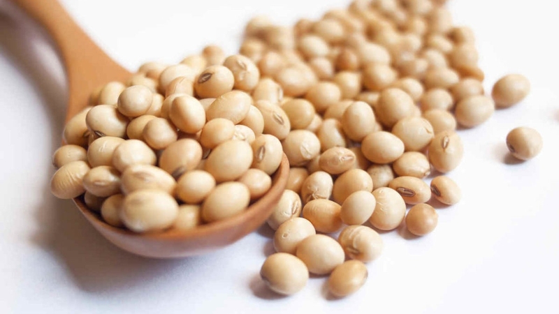 Đậu nành tươi: Thành phần dinh dưỡng và công dụng tốt cho sức khỏe 1