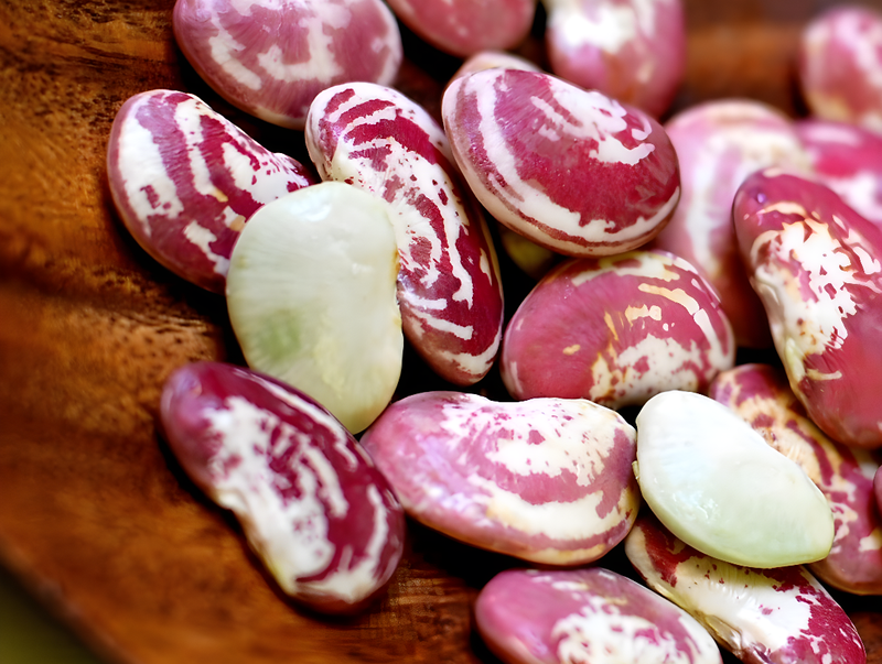 Đậu ngự mọc mầm ăn được không? Lưu ý cần biết 1