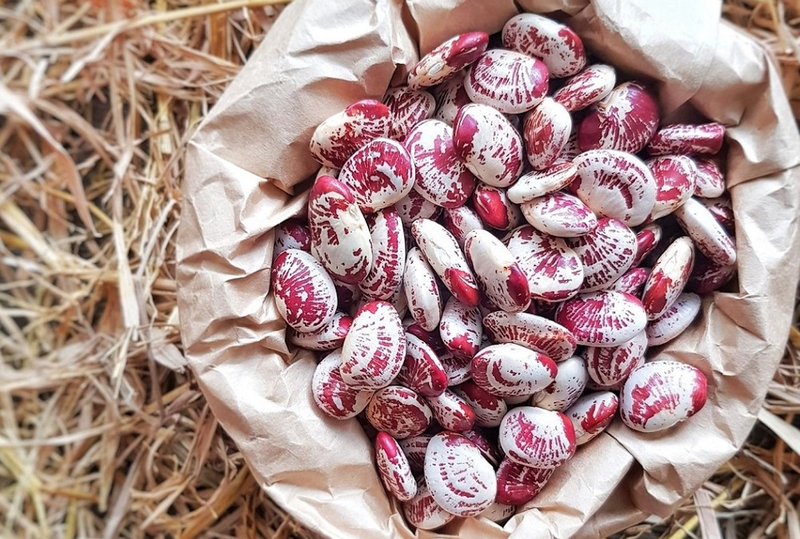 Đậu ngự siêu thực phẩm có nhiều lợi ích với sức khỏe