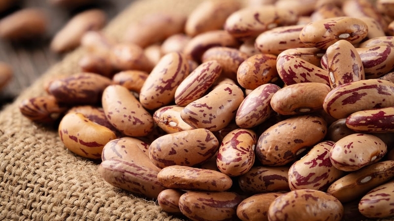 Đậu pinto là gì? Những lợi ích và cách bảo quản 1
