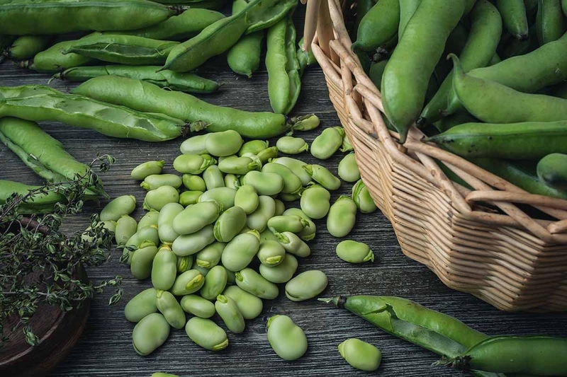 Đậu răng ngựa: Thực phẩm bổ dưỡng và đa năng 4