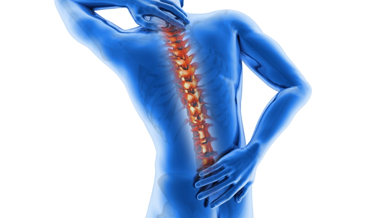 Đau sau lưng bên trái gần eo là dấu hiệu bệnh gì? Những thông tin cần biết 3