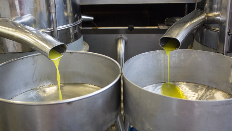 Dầu tinh luyện và dầu ép lạnh khác nhau ở điểm nào?